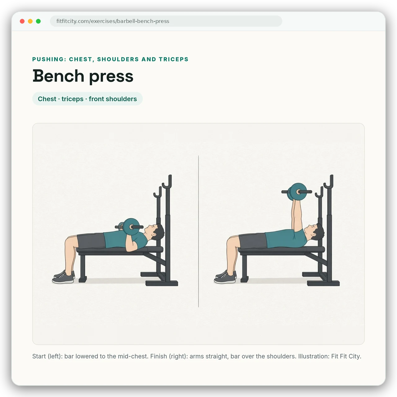 The exercise library page for the bench press, with our own illustration: start with the bar lowered to the chest, finish with the arms straight.